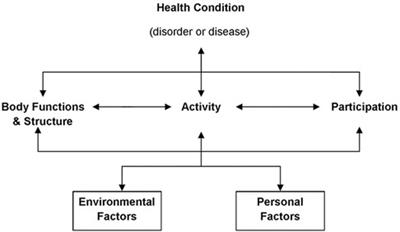 Exploring mental functions utilised by male youth team-based ball-sport athletes within academy programs: a systematic review and meta-aggregation